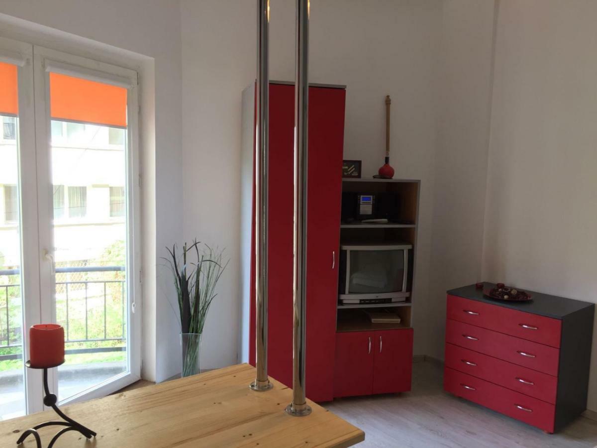 Cismigiu Garden Studio Apartment Букурещ Екстериор снимка